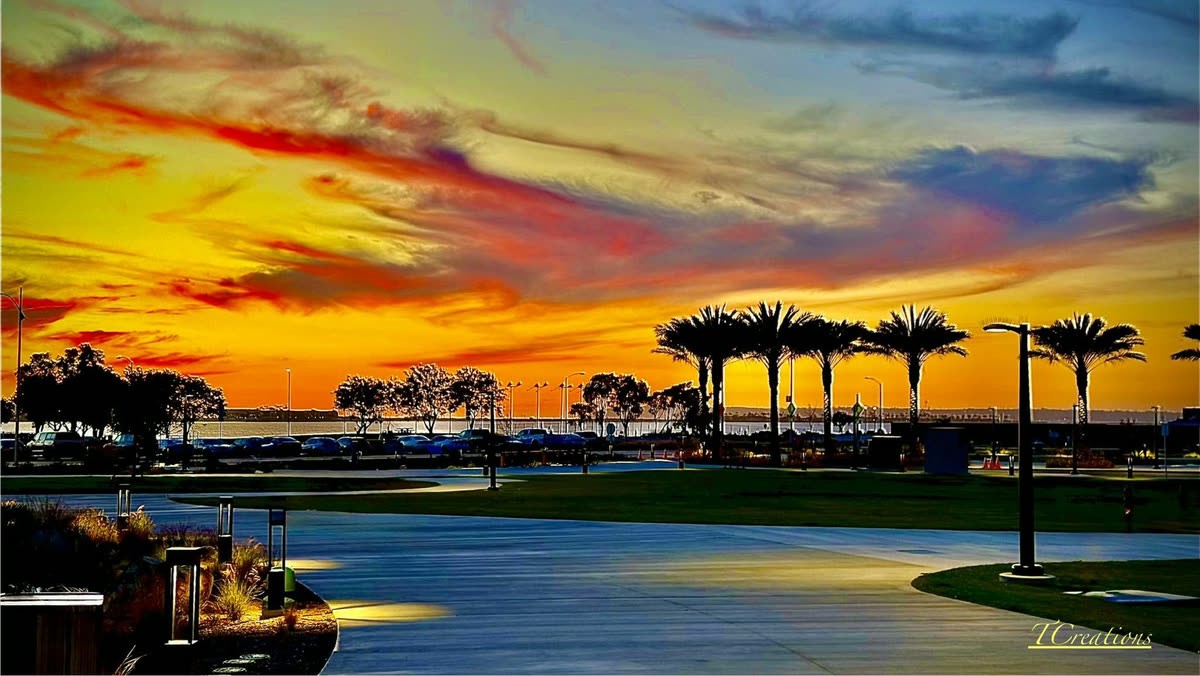 Harbour sunset with palm silhouettes